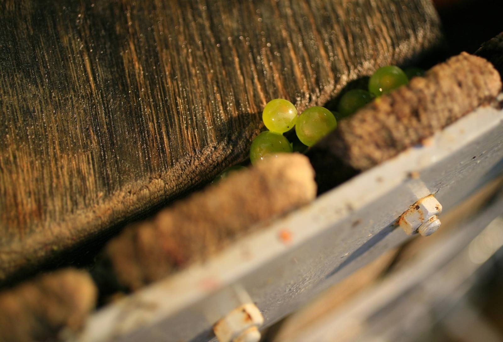 Histoire Champagne Charles Delroche