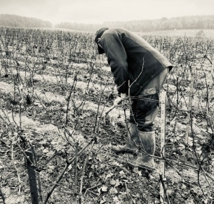 Amour du terroir et de la vigne