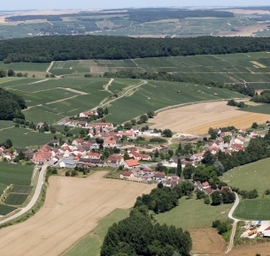Paysage du domaine